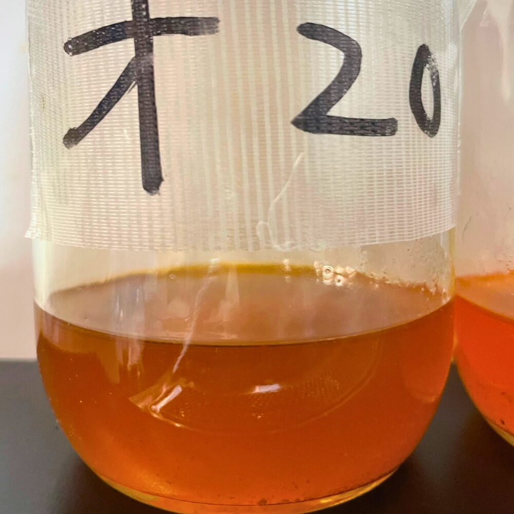 オリーブオイルで20分炒めて作ったエビオイル
