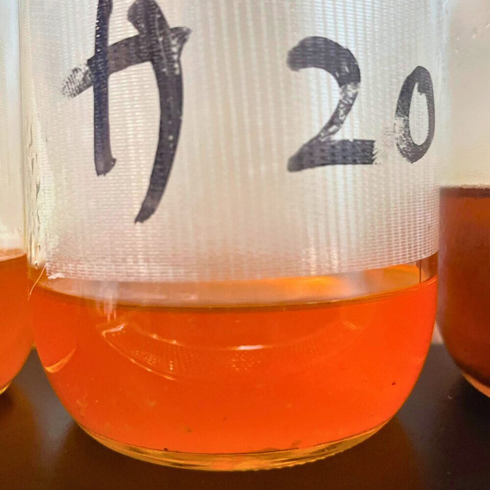 サラダ油で20分炒めて作ったエビオイル